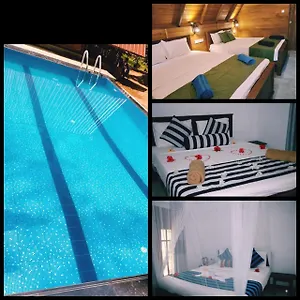 https://habarana-new-star-home-stay.kandyhotelsnow.com